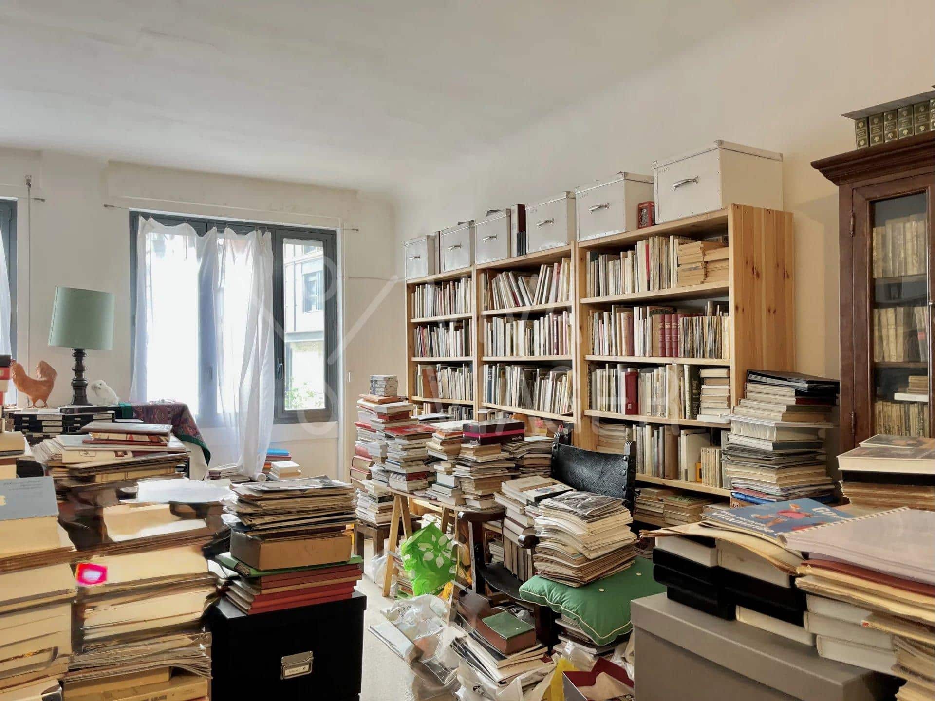 1a3c84bc2106abed36e5faa51468afbd_39514fd474_1920-original-28325