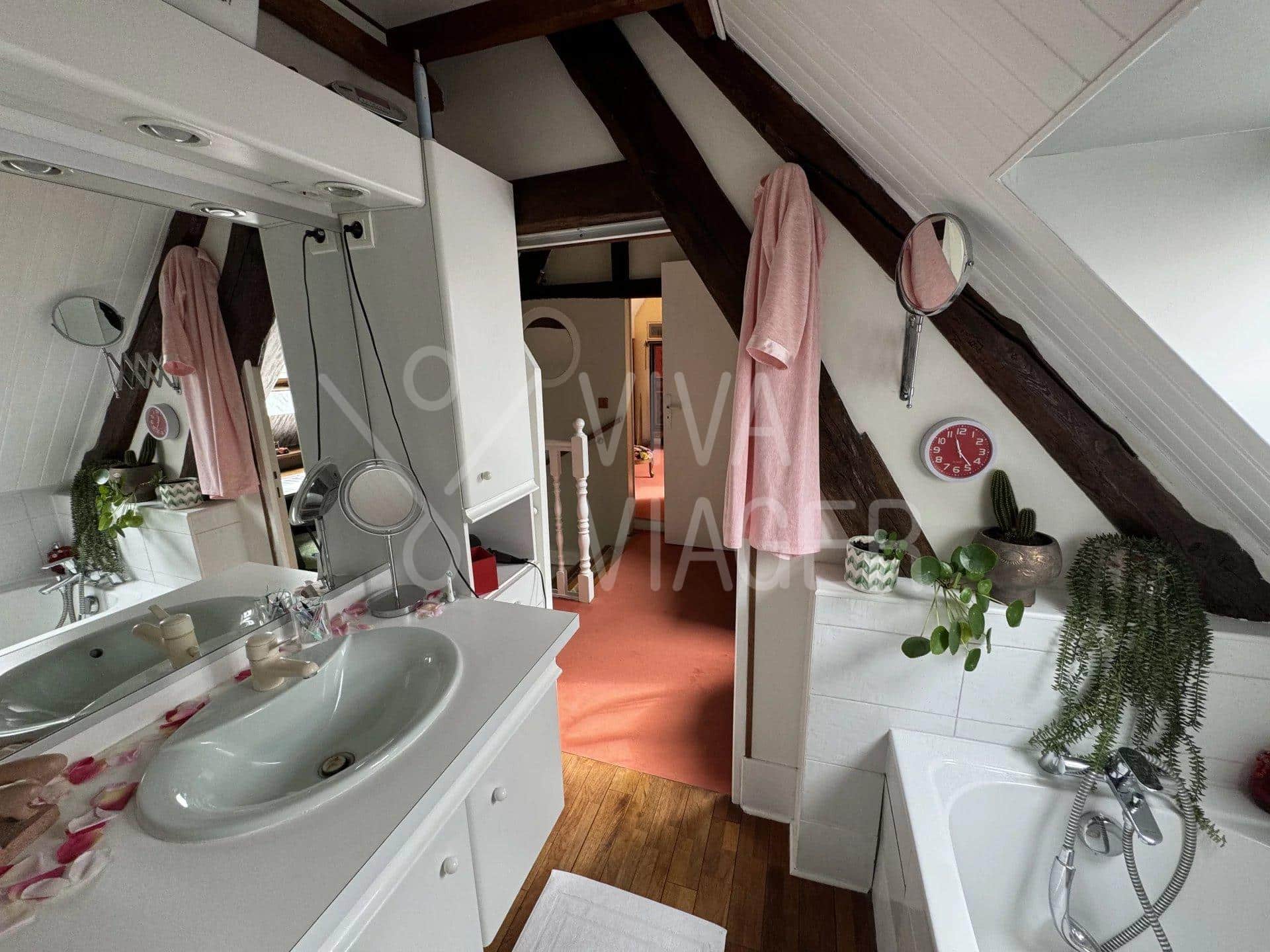 6e172e8ede8b1360c621f070704f43dc_c0a5419b6b_1920-original-28651