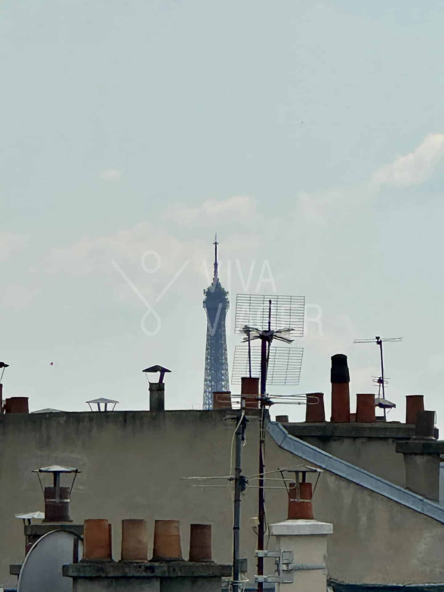 3a35e8499f4502ddc8b632ba0cb17bf0_a4bd79f7fd_1920-original-35654 Appt 4P 90 m² –Viager occupé – Paris 17